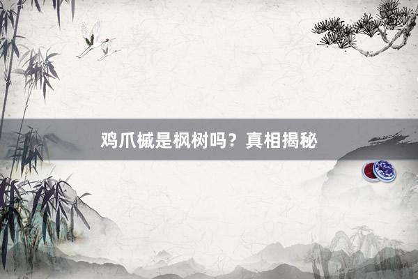 鸡爪槭是枫树吗？真相揭秘