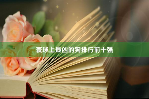 寰球上最凶的狗排行前十强