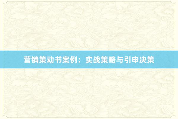 营销策动书案例：实战策略与引申决策